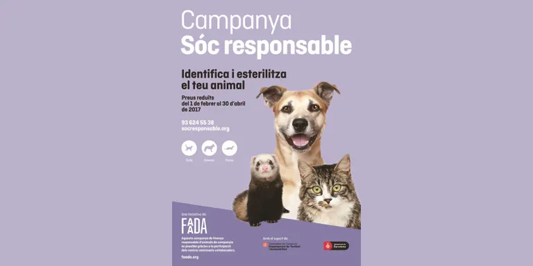 La Seu col·labora en una campanya de tinença responsable d'animals de companyia