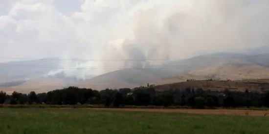 Un incendi crema prop de 300 hectàrees a Ger