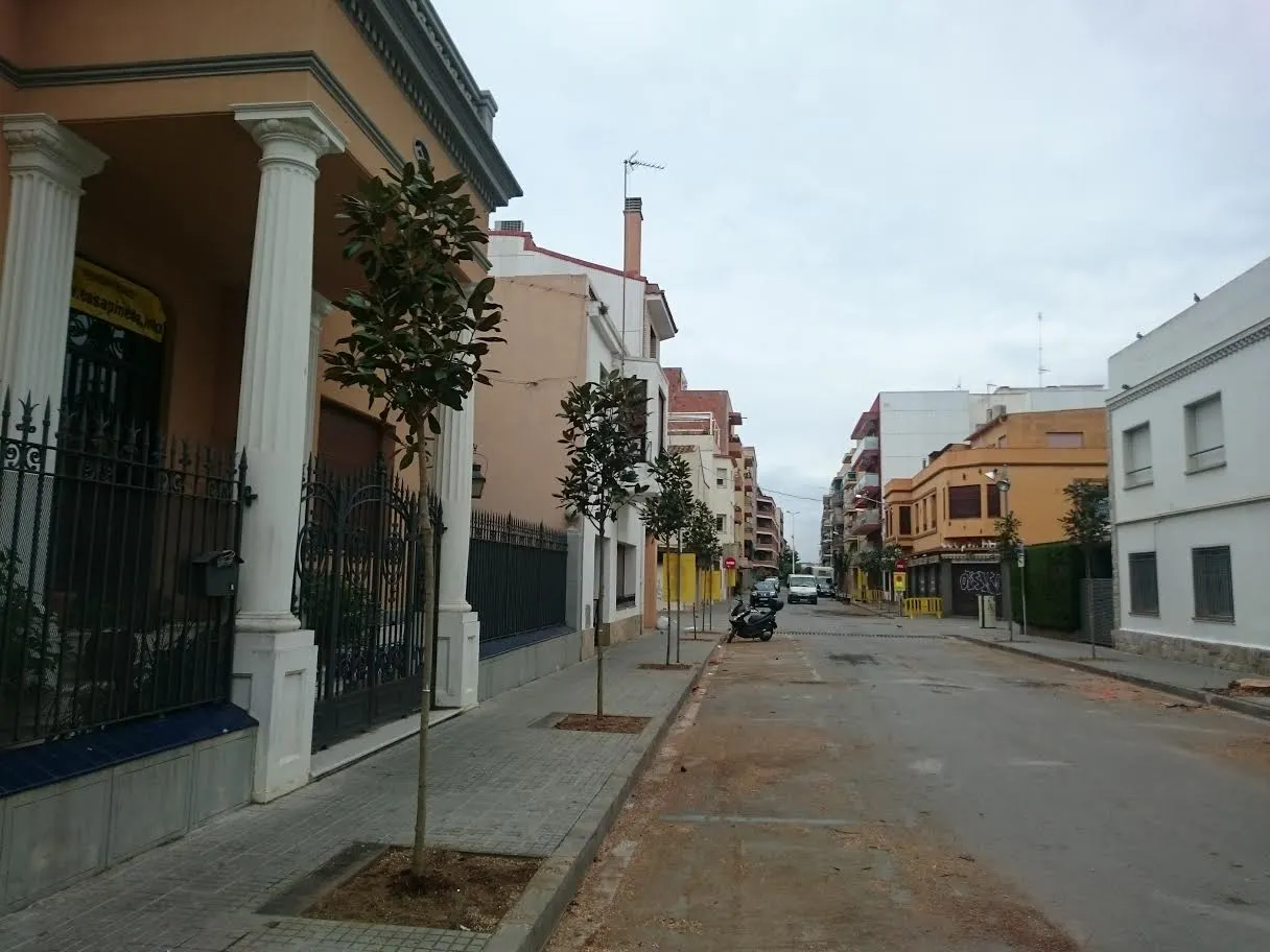 Es canvien les mèlies del Carrer Barcelona per magnòlies