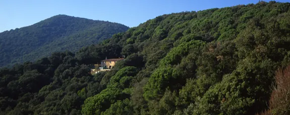 La Diputació de Barcelona inicia el pla de prevenció de foc forestal