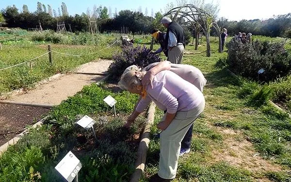 Foto: Hort de la Sínia