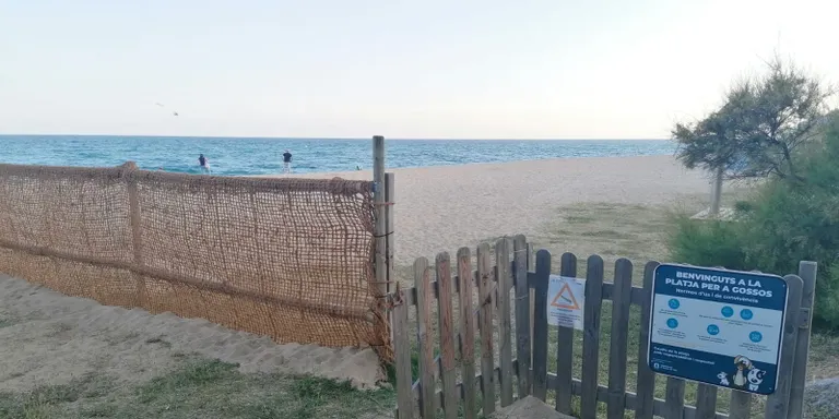 La platja per anar amb gossos estarà operativa a partir d’aquest diumenge