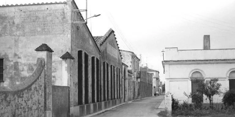 El naixement del Carrer Progrés de Pineda