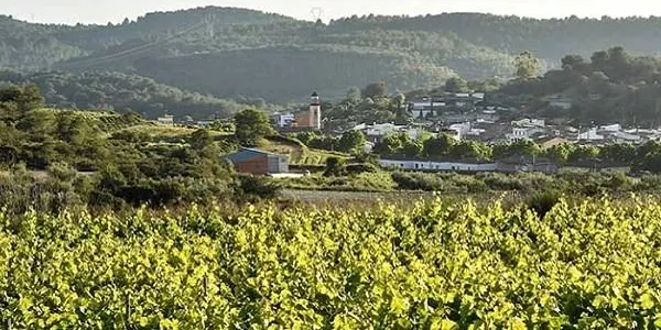 Salomó s'uneix amb altres municipis de l'Alt Camp, Tarragonès i Baix Penedès per tenir aigua de l'Ebre