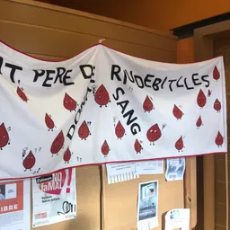 Jornada donació especial de Sang a Sant Pere de Riudebitlles. - episode art