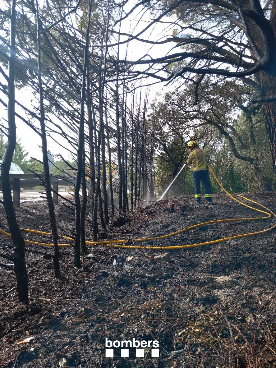 Ensurt per un incendi forestal ahir al migdia a Riner
