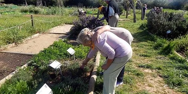 L’Hort de la Sínia i l’Ajuntament impulsen un projecte de consciència sensorial en contacte amb la natura