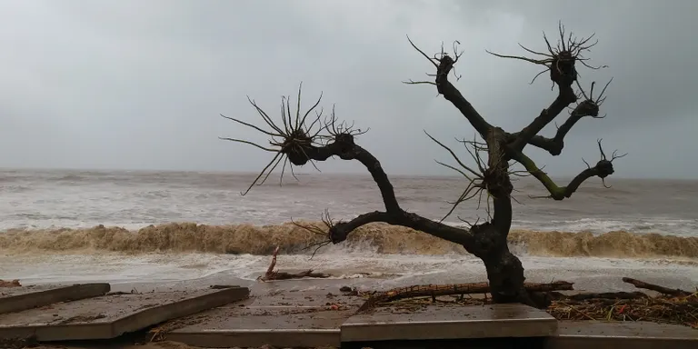 Empreses i establiments comercials de Pineda es posen al servei del poble per atendre els efectes del temporal