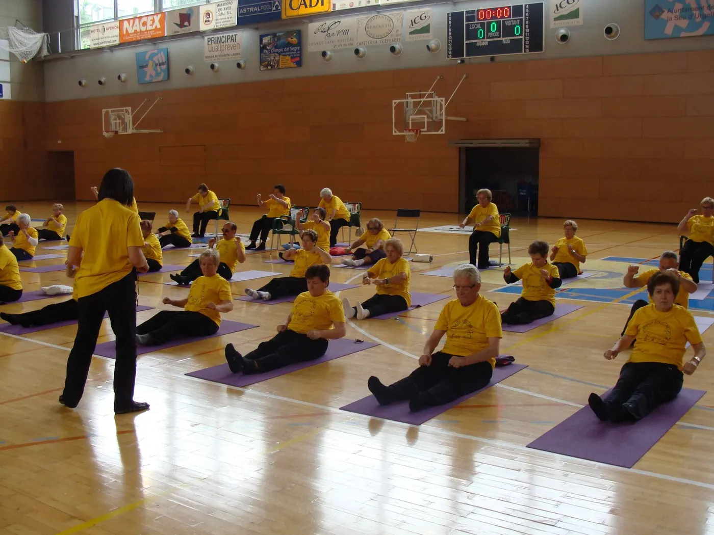 Diada Esportiva de la Gent Gran La Seu-Andorra 2014