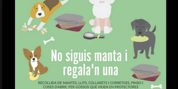 L'ADPA recull unes 400 mantes en la campanya per recollir material pels gossos que viuen en protectores