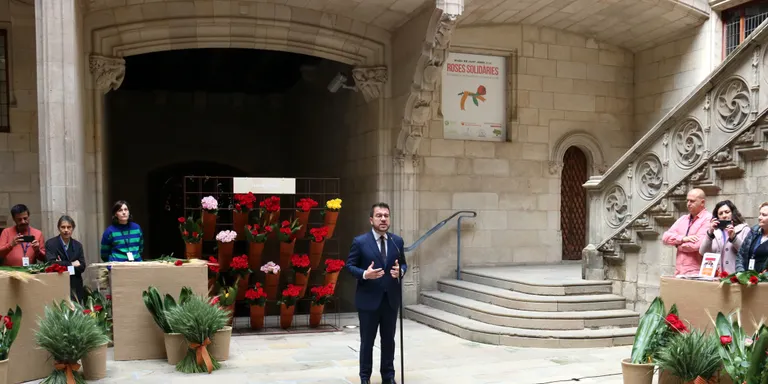 Aragonès crida a "redoblar el compromís amb la llengua" i referma el seu compromís amb el català