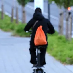PORTADA CANVIS PATINETS 2021 - episode art