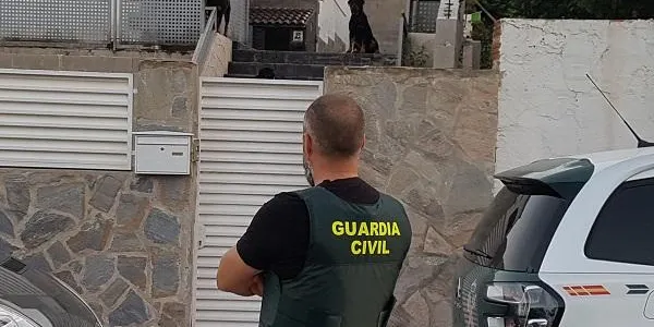 La Guardia Civil desmantella una plantació de marihuana amb més de 803 plantes a la Pobla de Montornès