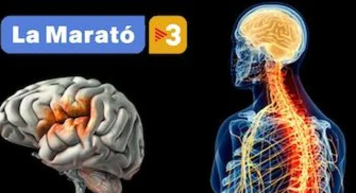 Arenys de Mar es prepara per la Marató de TV3