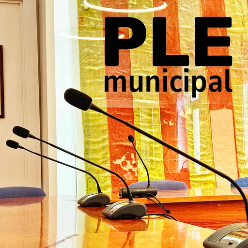 Ple Municipal
