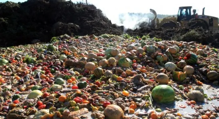 L'Hora del Conte serà especial sobre el malbaratament alimentari