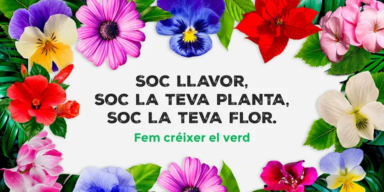 ‘Crònica’ 19.11.2020