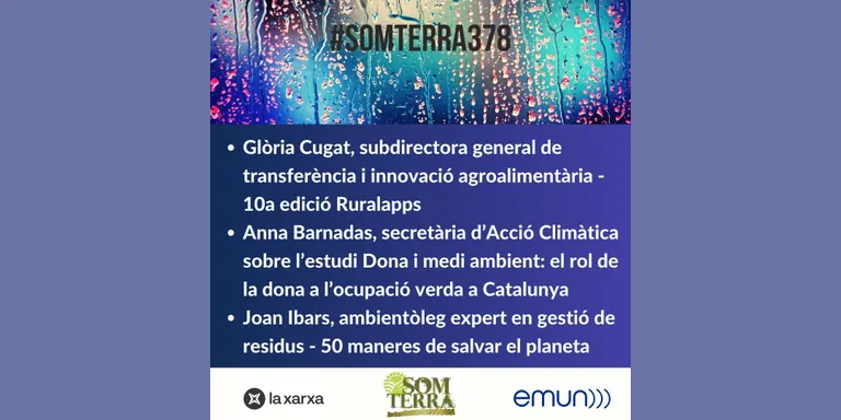 Som Terra 378