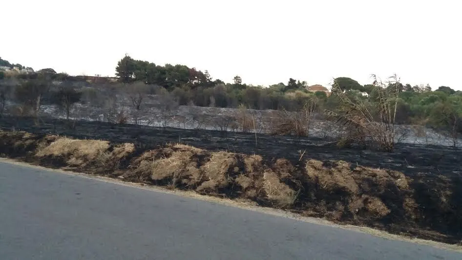 El Maresme ha patit 133 incendis forestals i urbans a l'estiu, un d'ells a Pineda