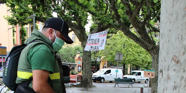 L’Ajuntament de la Seu d’Urgell aplica un tractament fitosanitari alternatiu en arbres de la ciutat