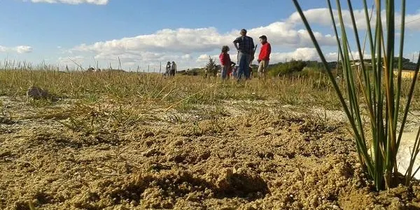 Una seixantena de persones participen en la tercera jornada de voluntariat ‘Viu la platja!’