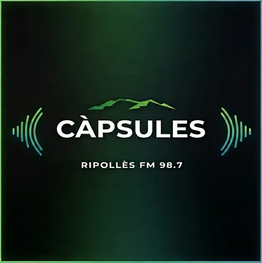 Càpsules