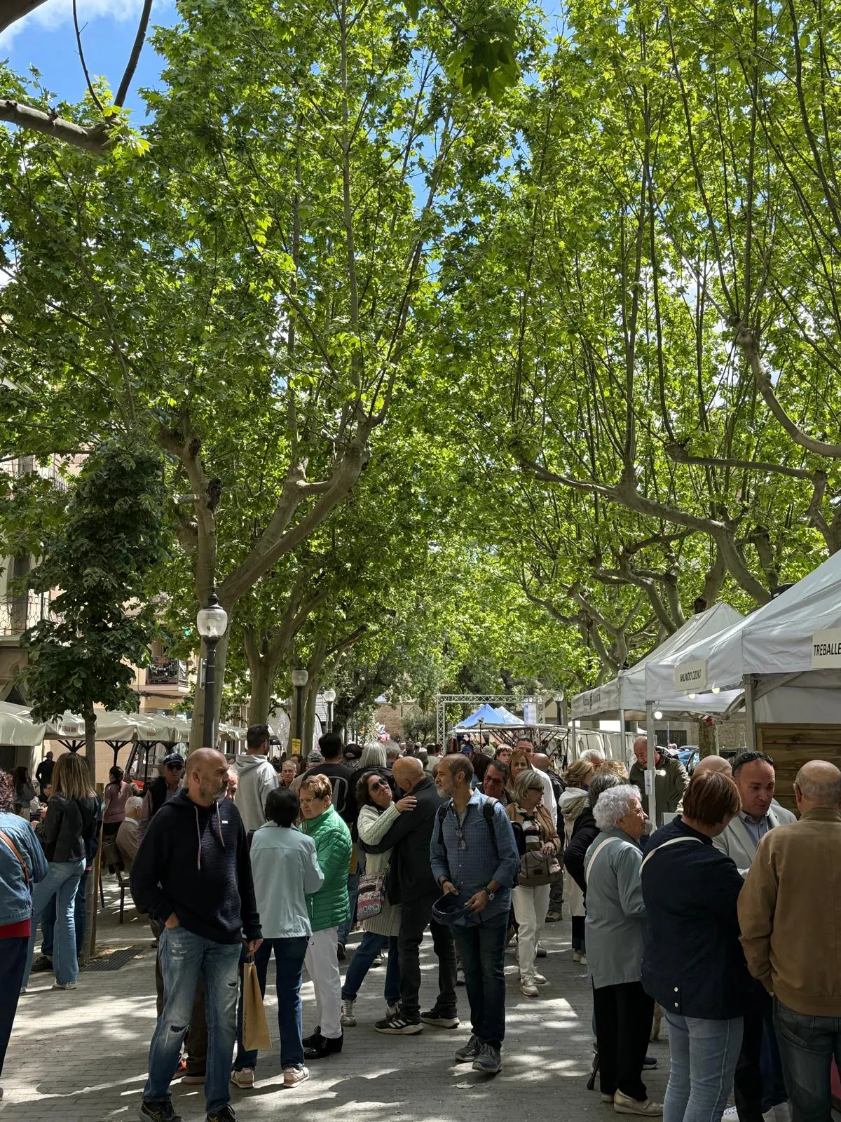 El Sant i Sidra es consolida com un dels espais destacats d’una fira marcada per un temps benèvol
