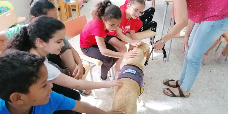 L’Associació A 4 Potes dona a conèixer els gossos de teràpia a l’alumnat de l’Escola Marinada