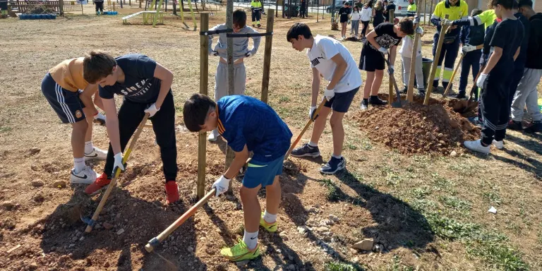 Auxili farà parada al Morell per Sant Martí
