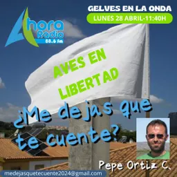 #23 - Gelves en la onda - ¿Me Dejas Que Te Cuente? del 28/4/2025 - episode art