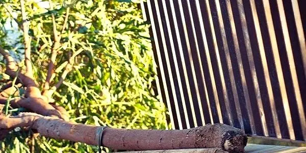 El temporal de vent sacseja Altafulla i produeix diversos desperfectes