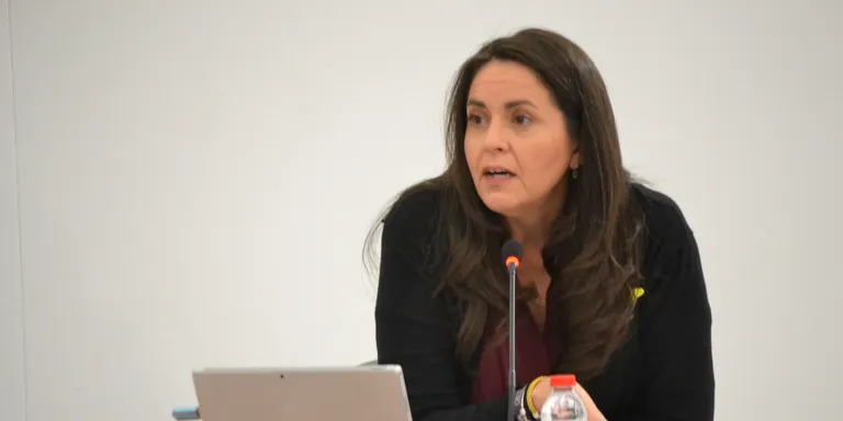 El ple aprova una moció per la millora de l'atenció integral a les víctimes de violència de gènere a Pineda