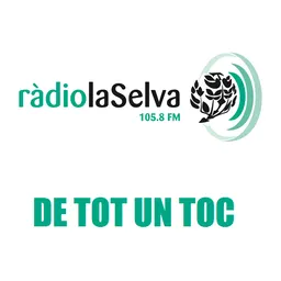 De tot un toc del 28/12/2013 - episode art