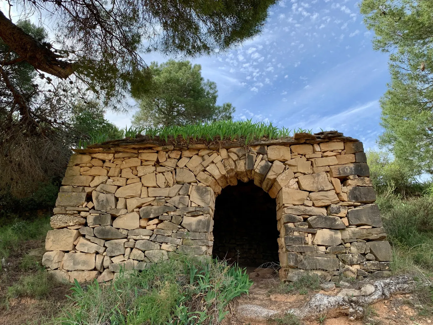El servei de Renfe entre Rubí i Castellbisbal patirà talls a causa d’unes obres