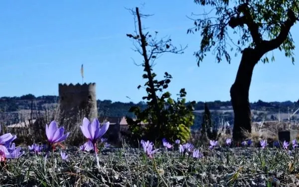 Foto: Terres del Gaià
