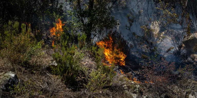 L’empresa on treballava l’operari que va provocar el foc de Gavarres preveia fer els treballs amb serra i no amb radial