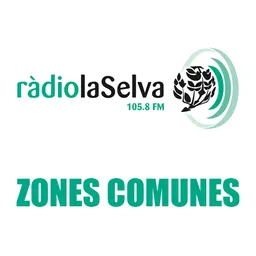 ZONES COMUNES del 28/12/2013 - episode art
