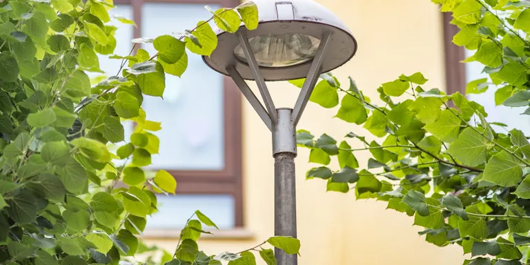 Santa Coloma de Farners invertirà 500.000 euros per renovar l'enllumenat i generar estalvi energètic