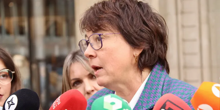 Riba (ERC) demanarà al Parlament Europeu “tots els costos” de la missió sobre la immersió perquè “no té competències”