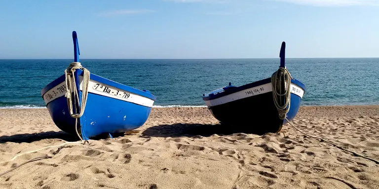Temps estable i assolellat per dijous i divendres