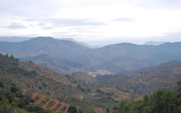 Foto: URV