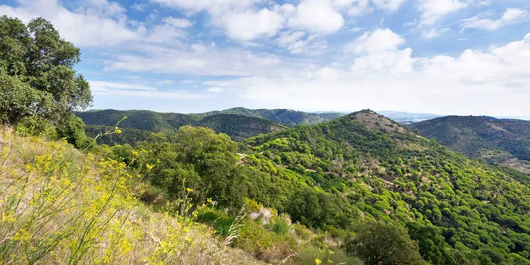 Xerrada a Pineda per ajudar a prevenir incendis forestals