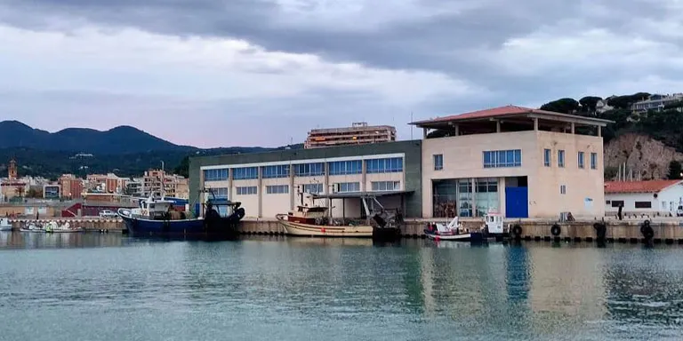 Europa obre la porta a equiparar les Confraries de Pescadors a les Organitzacions de Productors