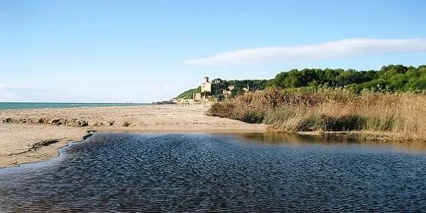 Nova visita guiada a la desembocadura del riu Gaià i a l’Hort de La Sínia