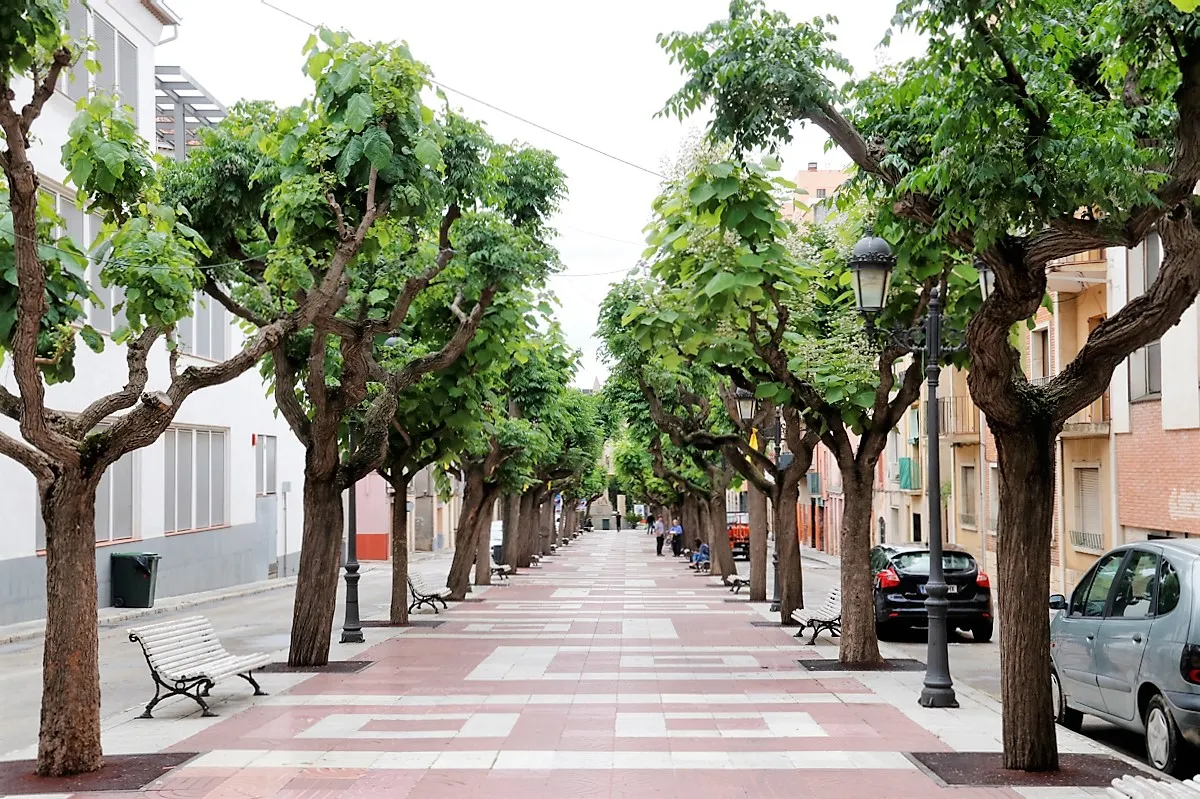 Aprovació definitiva del projecte de reurbanització del passeig dels Caputxins