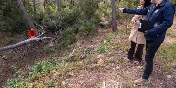 L’Ajuntament de Tarragona crearà noves franges antiincendis a les urbanitzacions