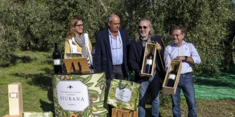 La DOP Siurana preveu una reducció de la collita d’oli d’entre el 35% i el 40%, tot i la bona qualitat de l’oove