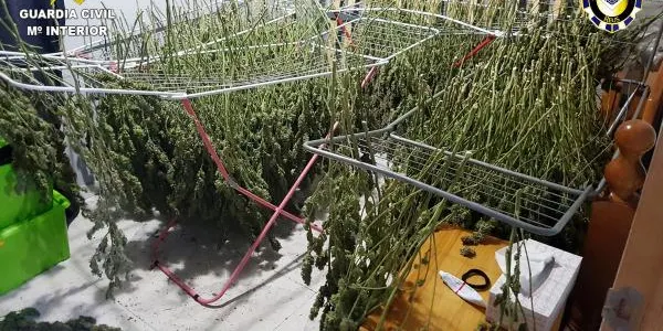 Una nova operació contra el tràfic de drogues esquitxa el Baix Gaià