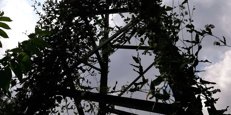Acaba un estiu molt complicat pel que fa a la prevenció i extinció d'incendis forestals