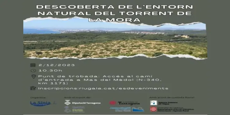 La Sínia dona a conèixer la riquesa del torrent de La Móra en una excursió pel seu entorn, aquest dissabte